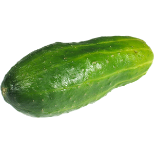 Cucumber PNG-12616